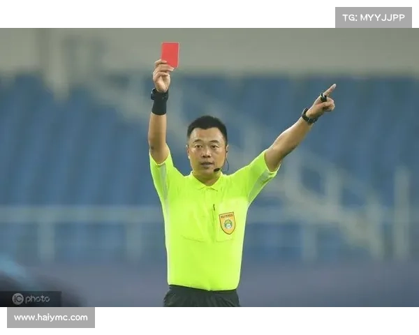 新鹏城 vs 三镇补赛裁判确定:黄翼主裁,邢琦担任 VAR 新鹏城 vs 三镇补赛裁判确定:黄翼主裁,邢琦担任 VAR